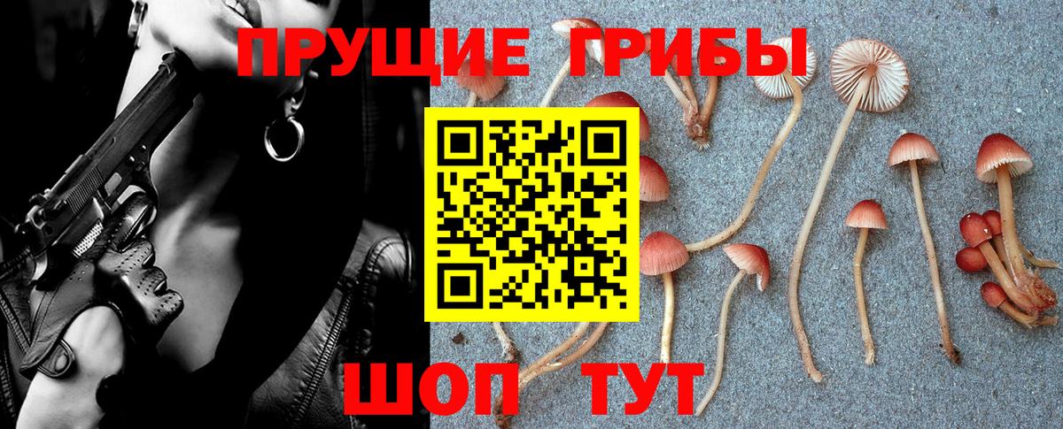 наркотики  Галлюциногенные грибы Psilocybine cubensis  Вход с VPN  Электросталь 