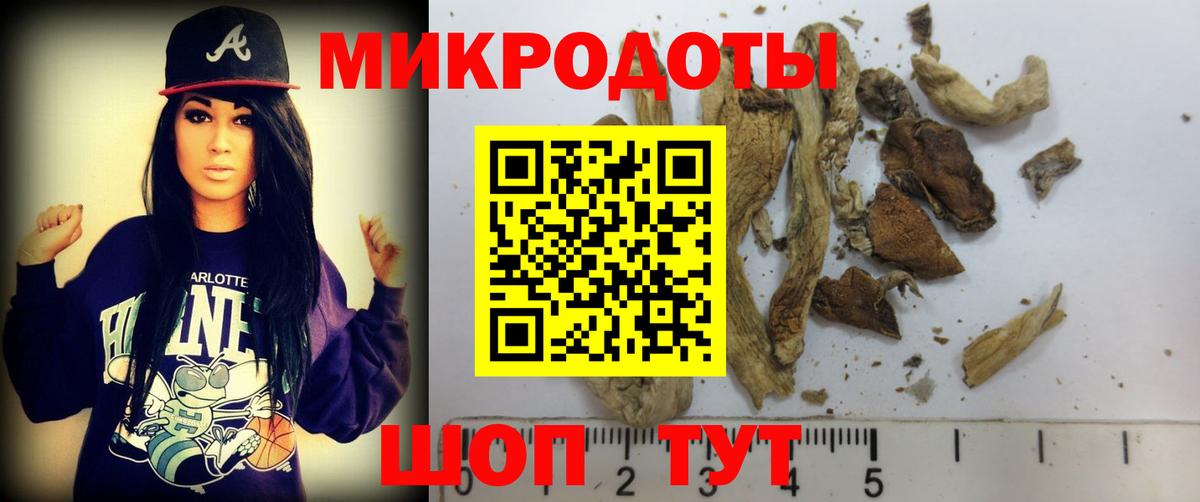 ТГК Электросталь